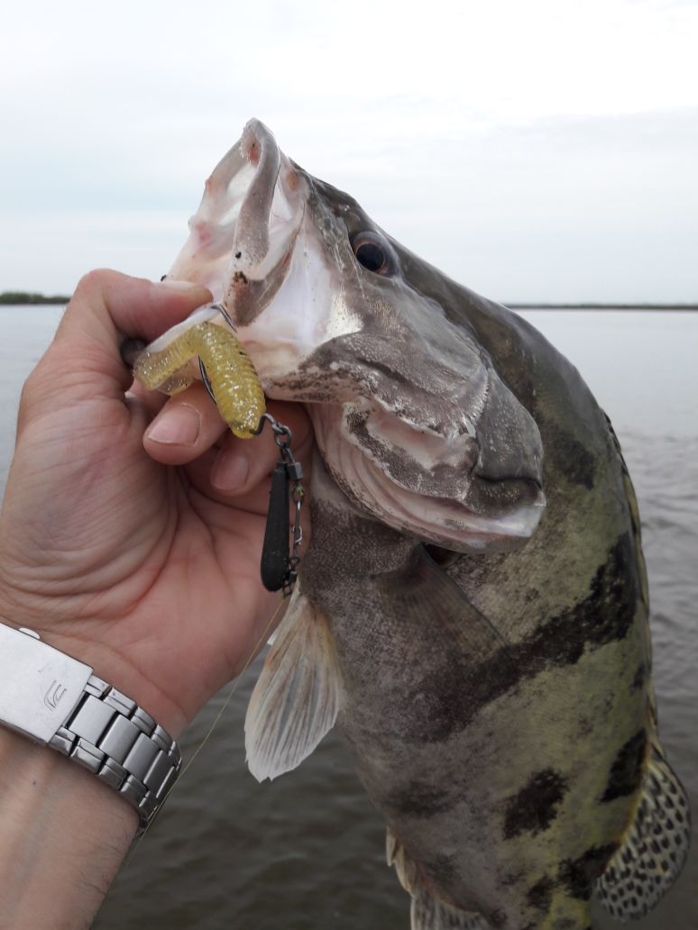 IMG-20170628-WA0001.jpg