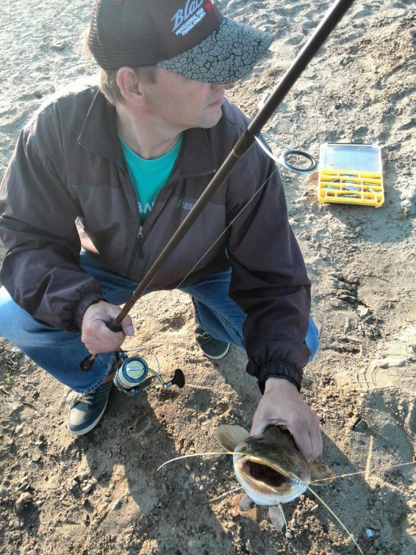 IMG-20170704-WA0001.jpg