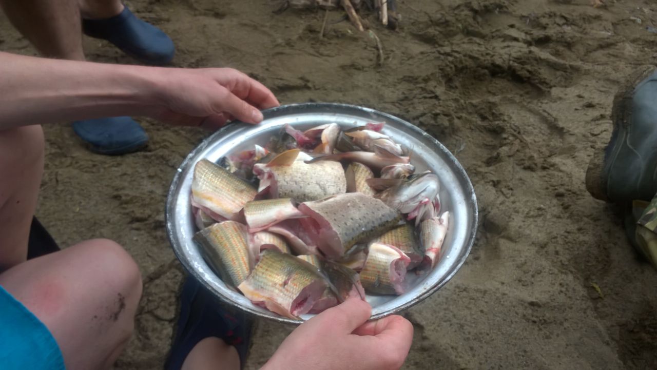 IMG-20170716-WA0122.jpg