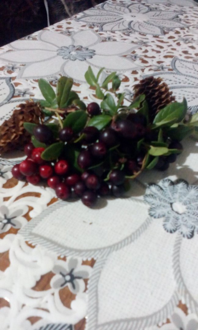 IMG-20170916-WA0037.jpg
