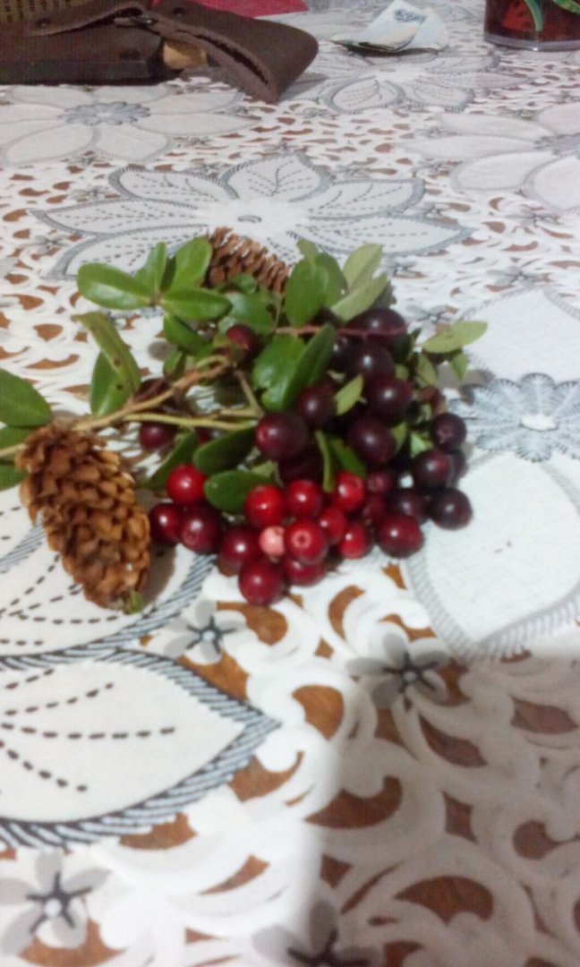 IMG-20170916-WA0038.jpg