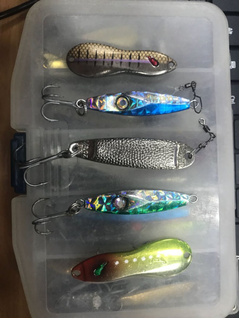 IMG-20180120-WA0000[1].jpg
