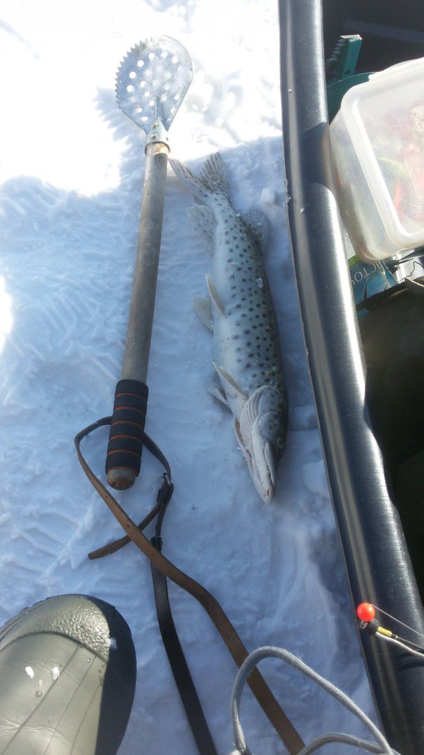 IMG-20180311-WA0001.jpeg