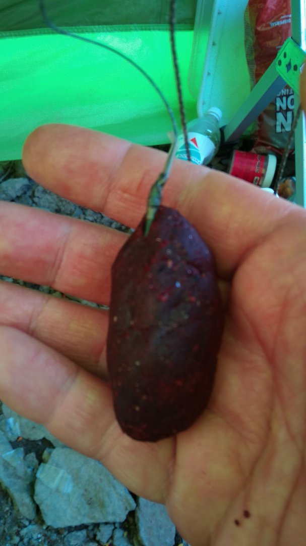 IMG-20180501-WA0048.jpeg
