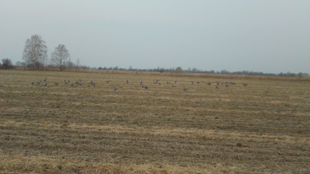 IMG-20180506-WA0057.jpg