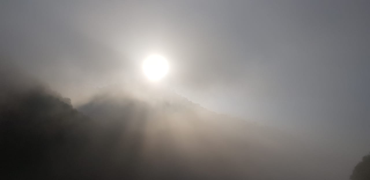 IMG-20180603-WA0005.jpg