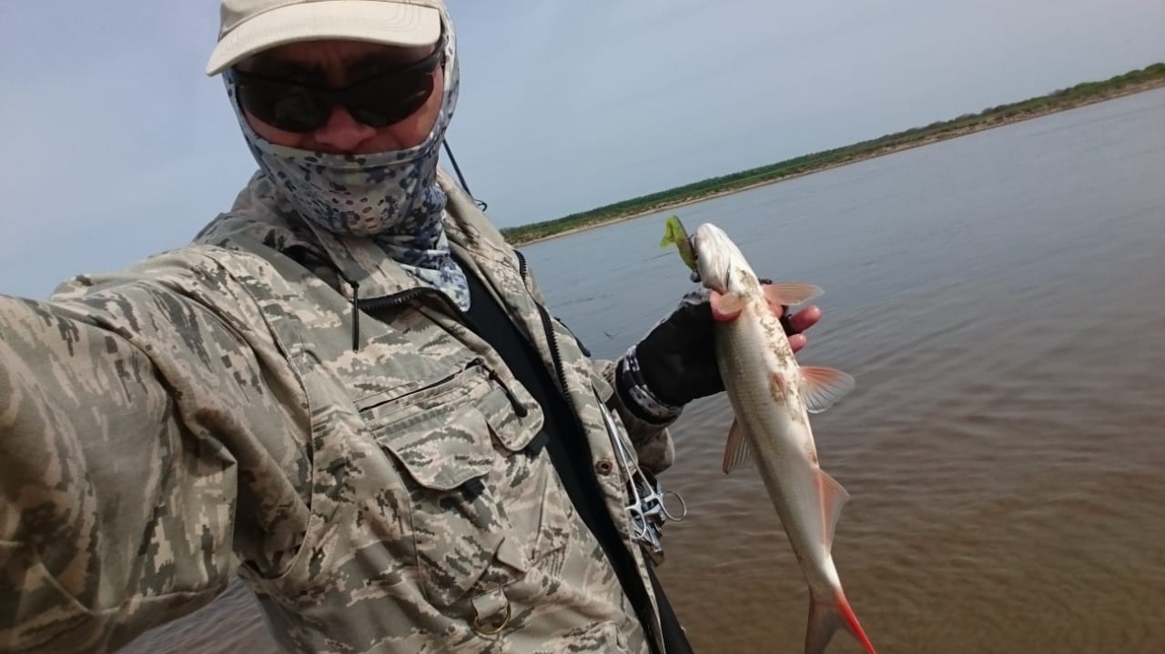IMG-20180611-WA0007.jpg