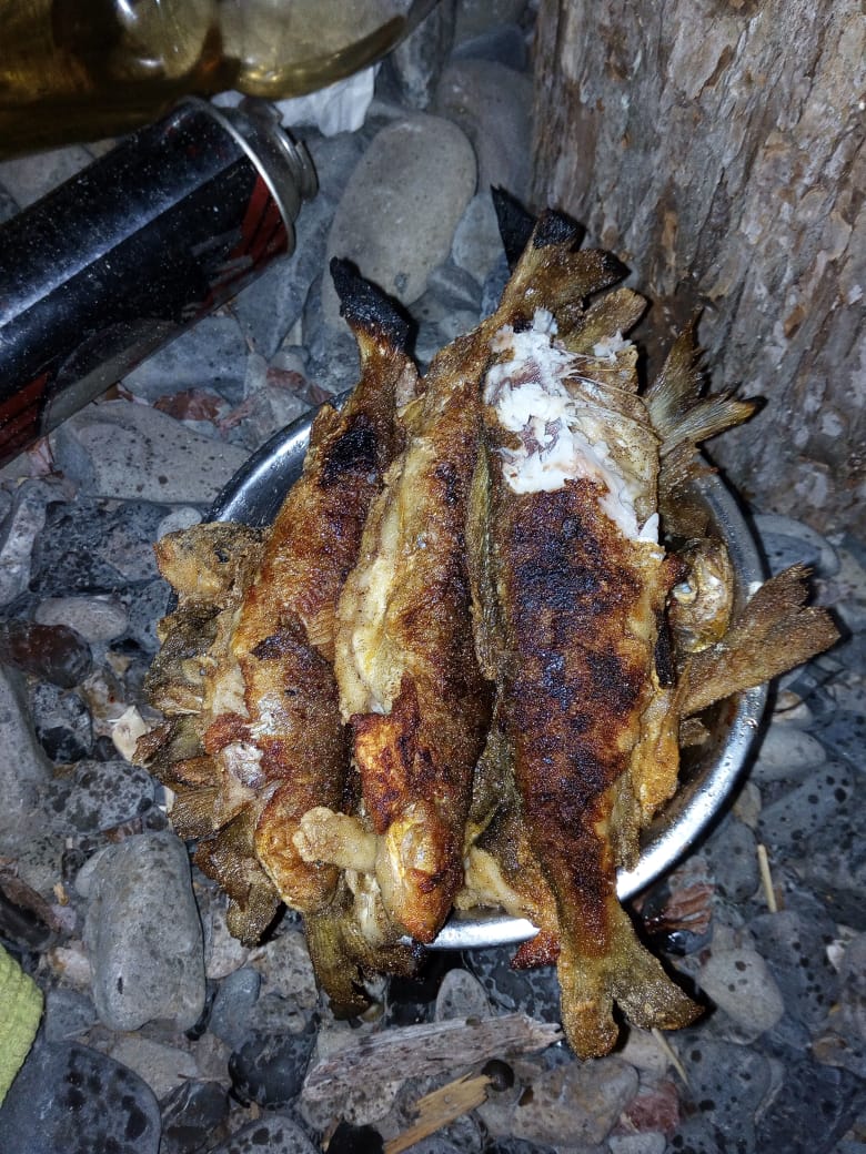 IMG-20180618-WA0036.jpg