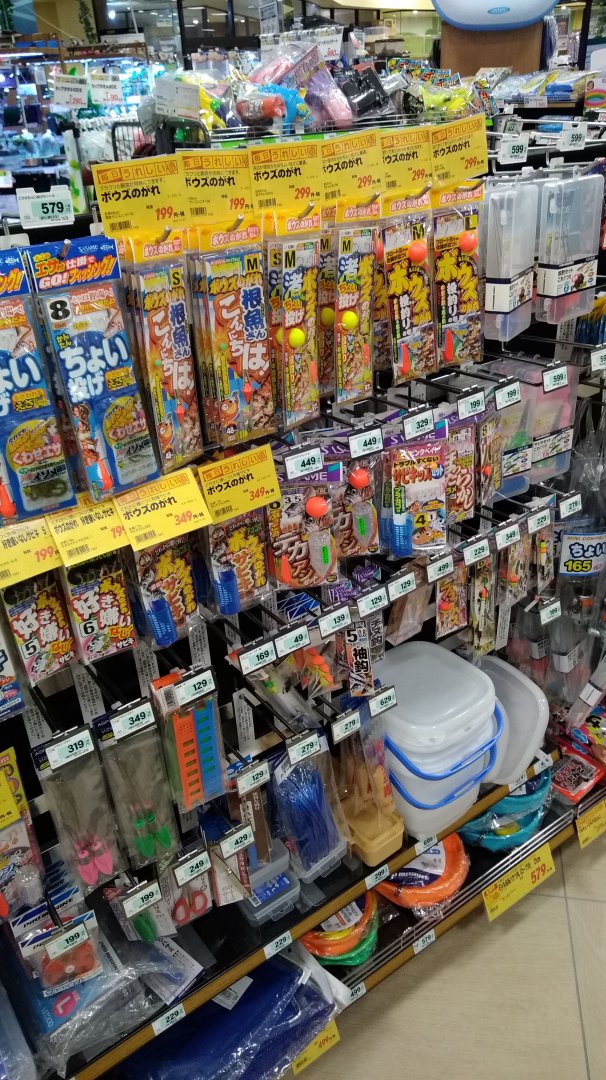 IMG-20180620-WA0083.jpeg