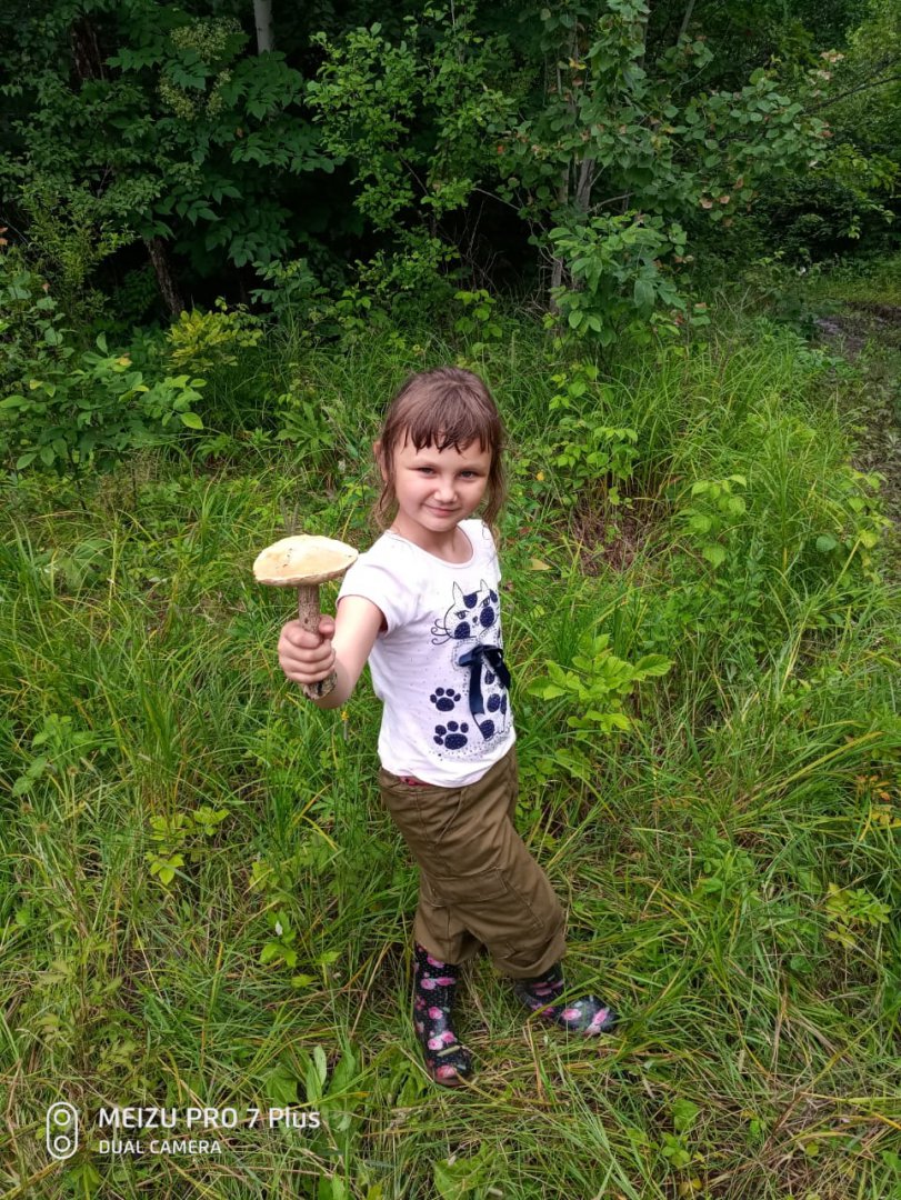 IMG-20180722-WA0001[1].jpg