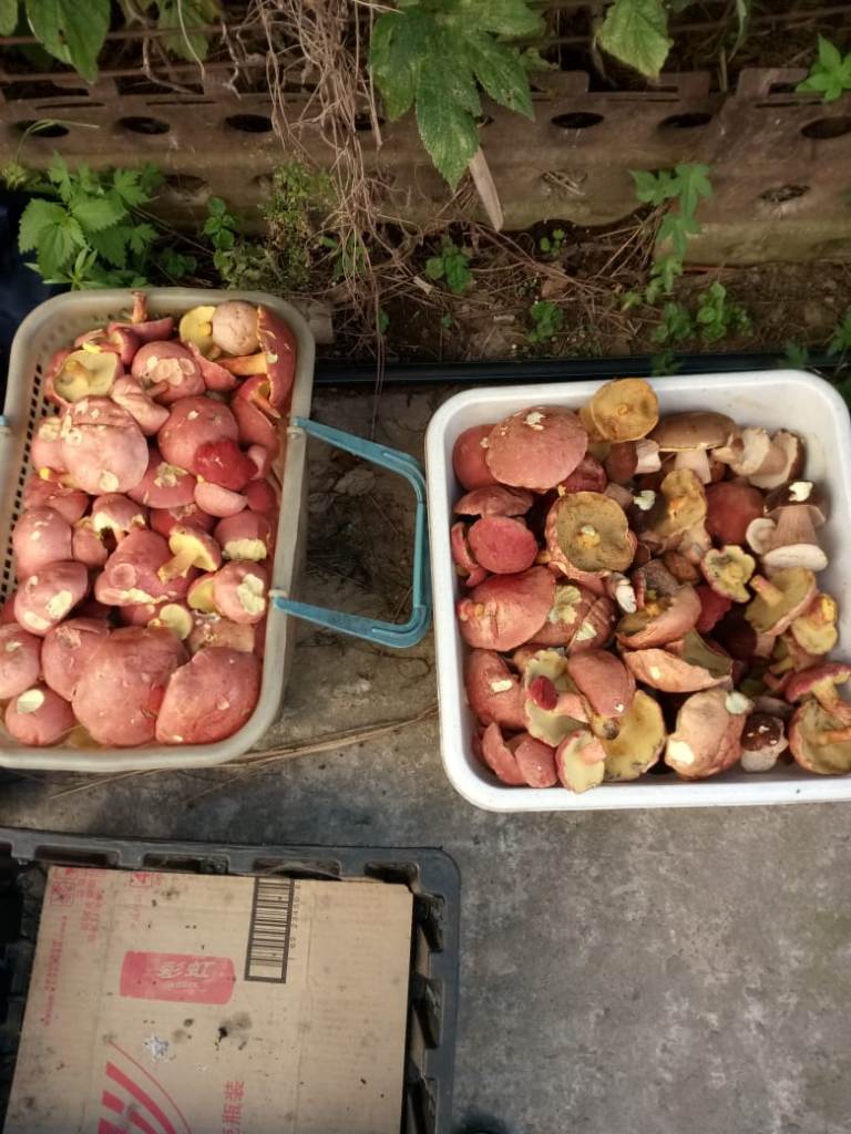 IMG-20180807-WA0001.jpg