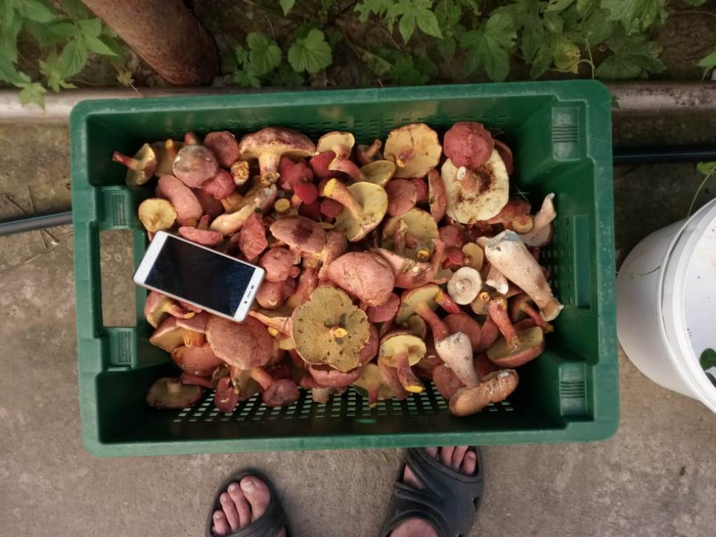IMG-20180807-WA0009.jpg