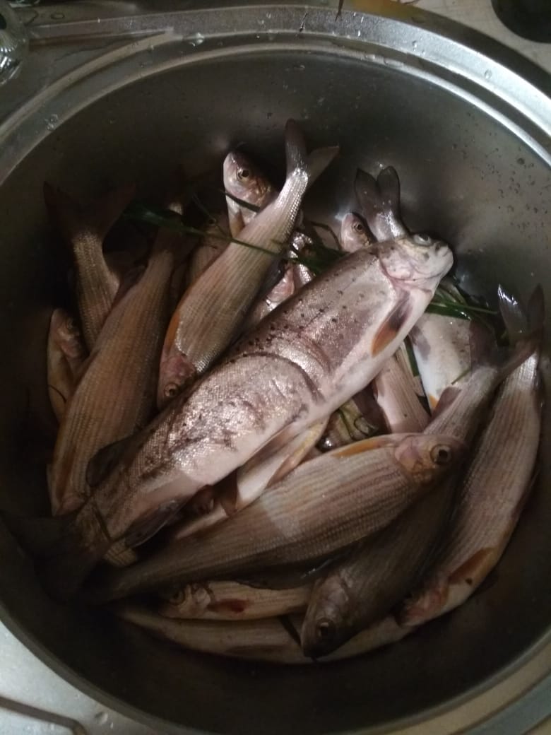 IMG-20180830-WA0026.jpg