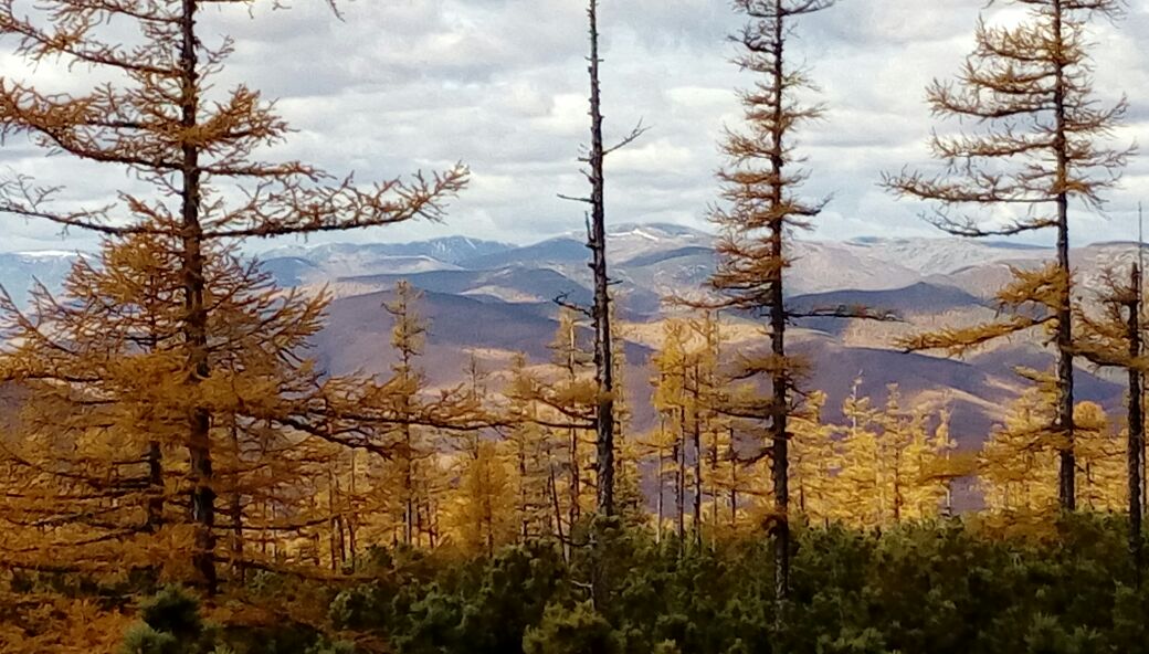 IMG-20181015-WA0025.jpg