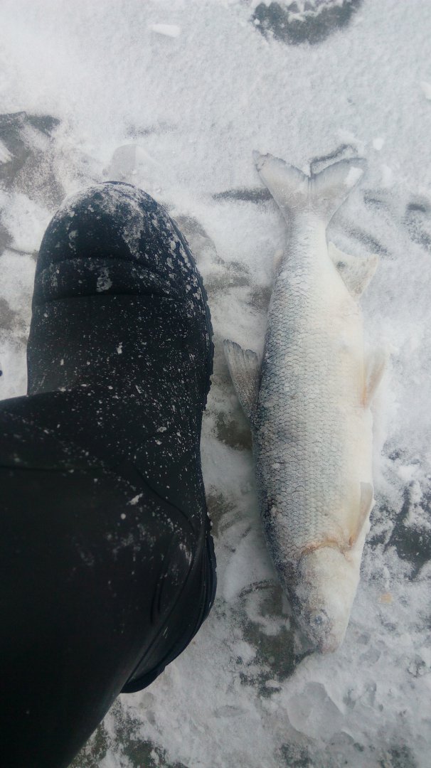 IMG-20181229-WA0004.jpeg