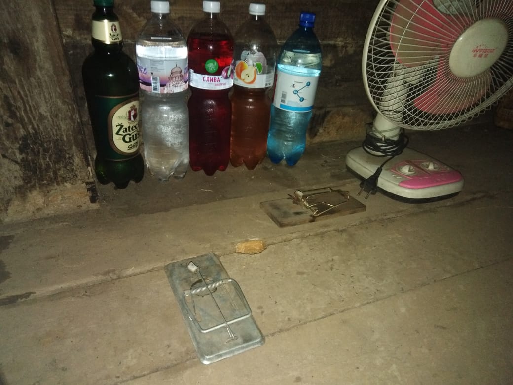 IMG-20190202-WA0016.jpg