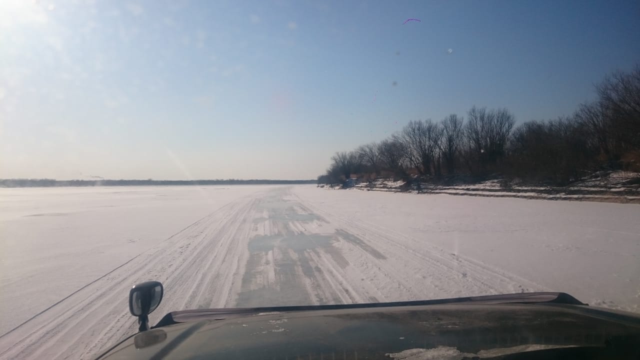IMG-20190203-WA0001.jpg