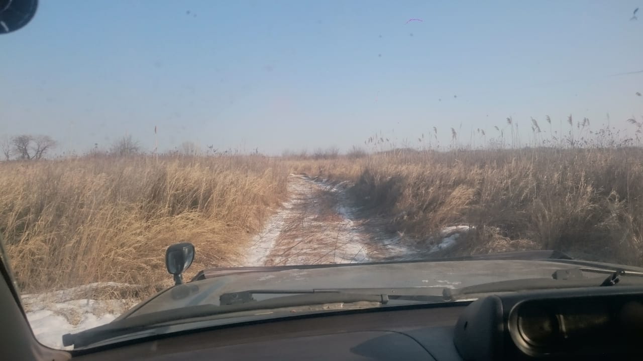 IMG-20190203-WA0004.jpg