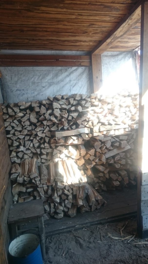 IMG-20190203-WA0006.jpg