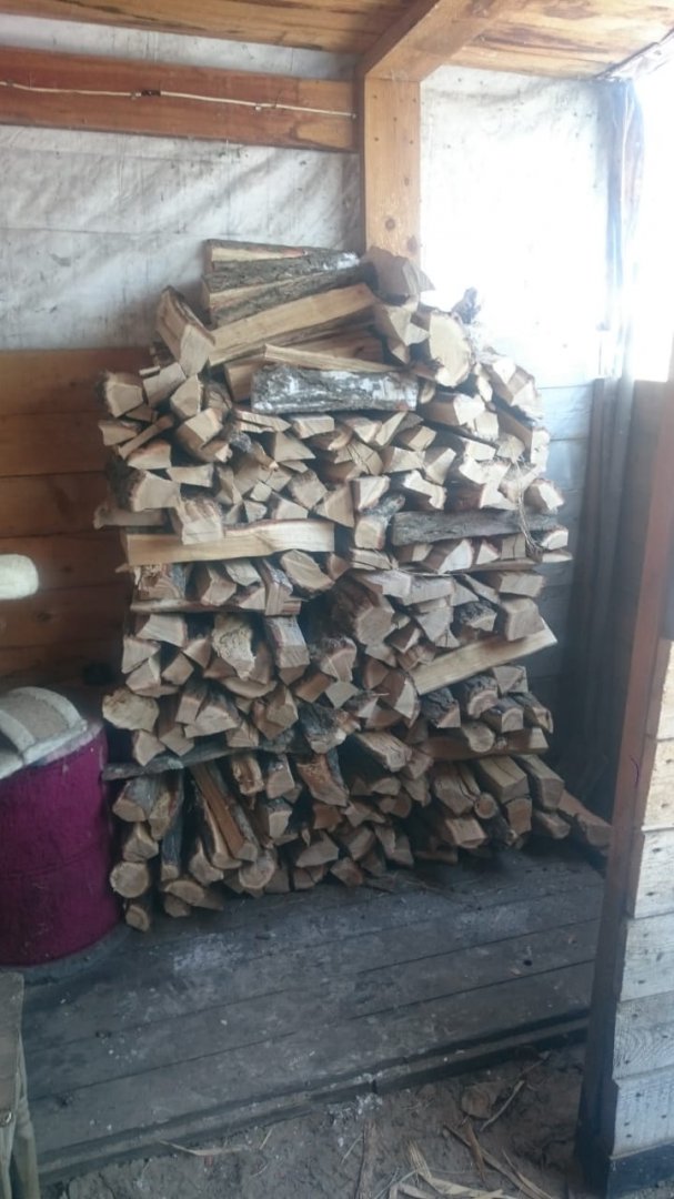 IMG-20190203-WA0007.jpg