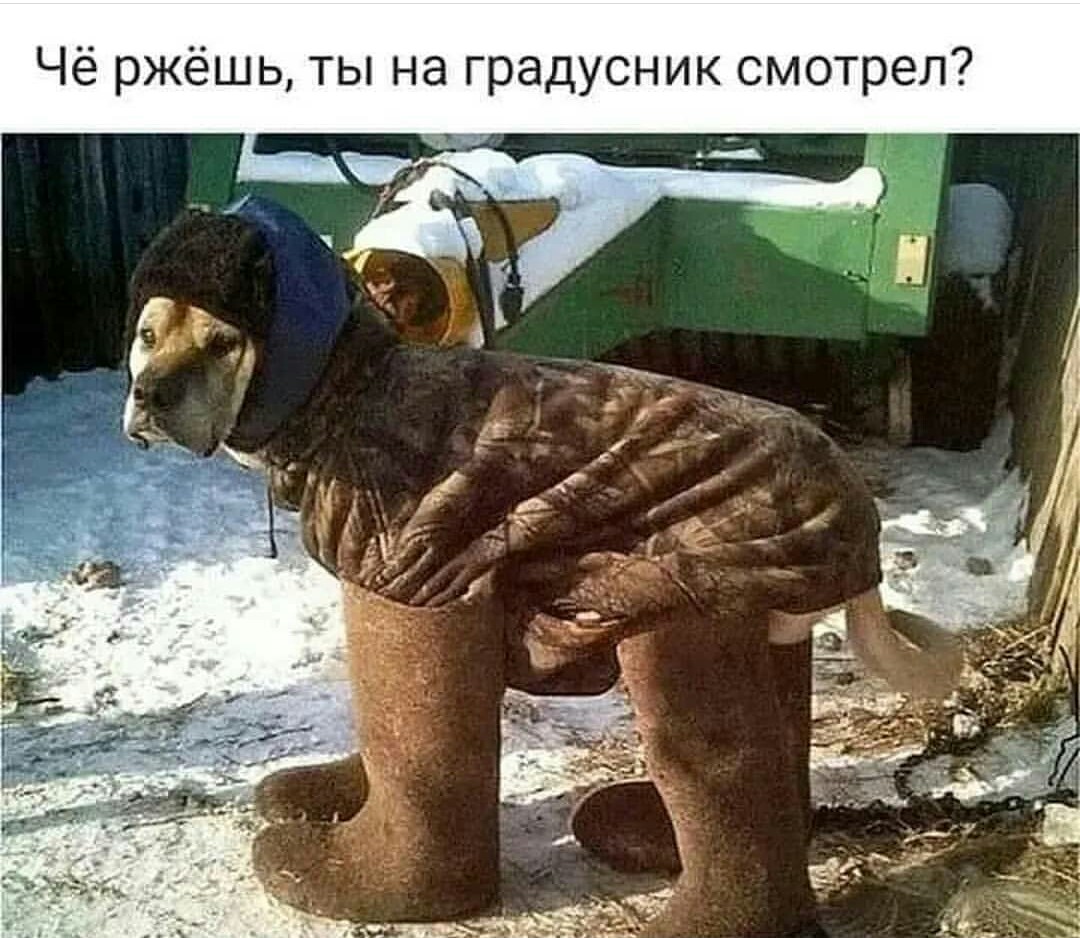 IMG-20190208-WA0013.jpg