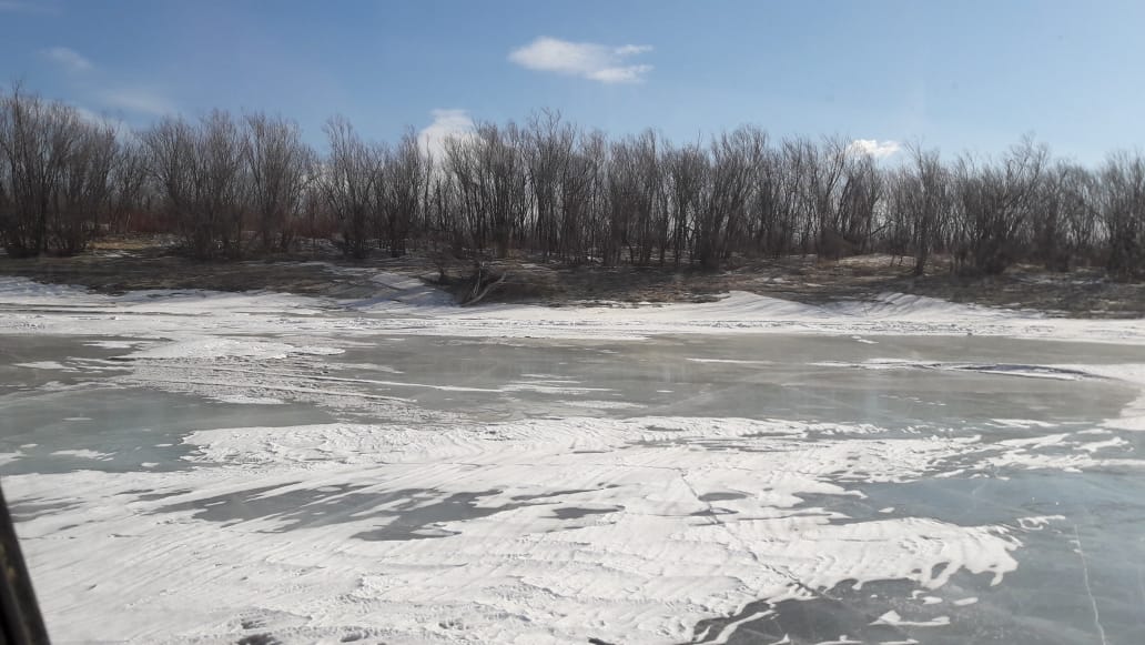 IMG-20190217-WA0025.jpg