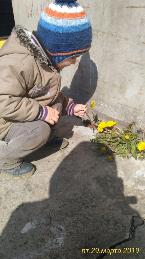 IMG-20190329-WA0017.jpg