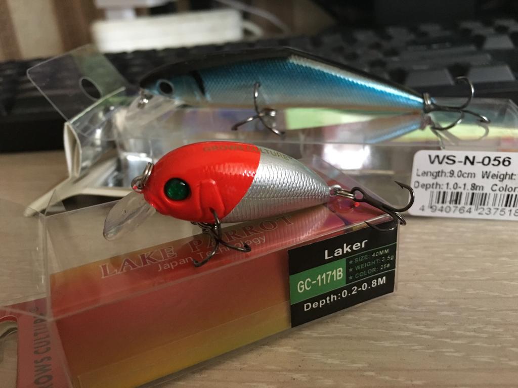 IMG-20190402-WA0007.jpg