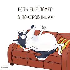 IMG-20190413-WA0004.jpg