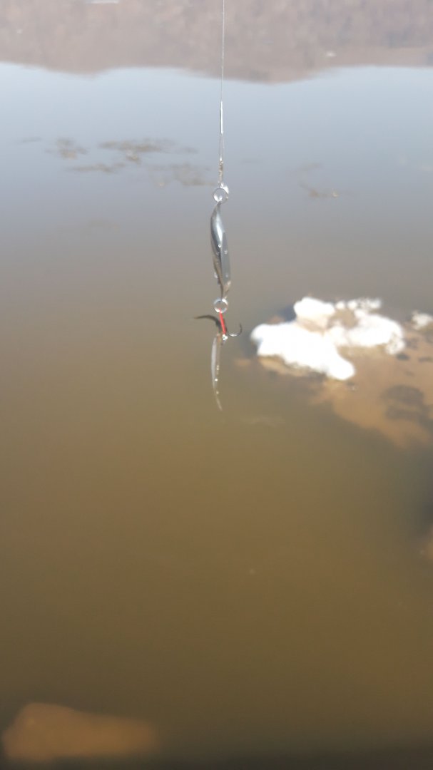 IMG-20190429-WA0017.jpeg