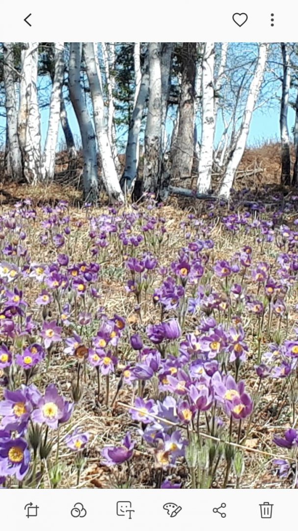 IMG-20190527-WA0044.jpg