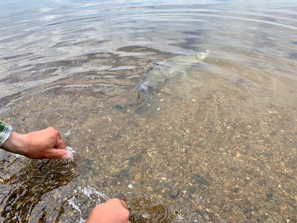 IMG-20190602-WA0018.jpg
