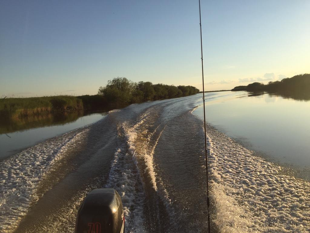 IMG-20190623-WA0012.jpg