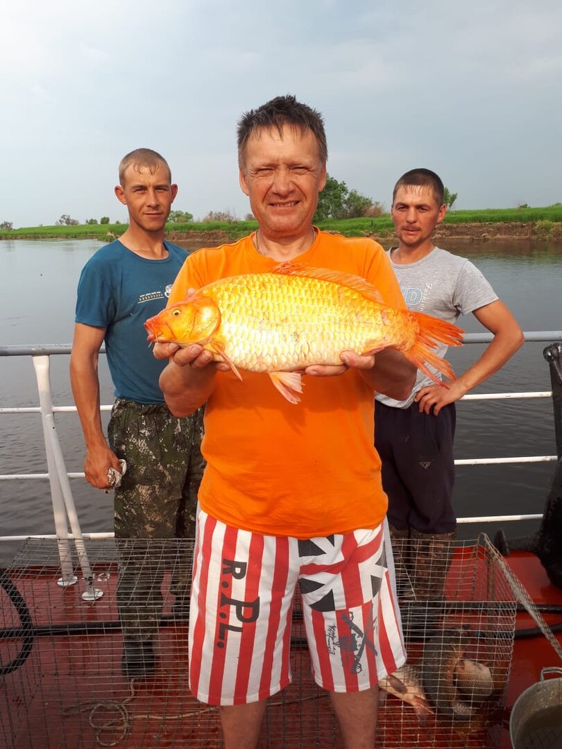 IMG-20190625-WA0051.jpg