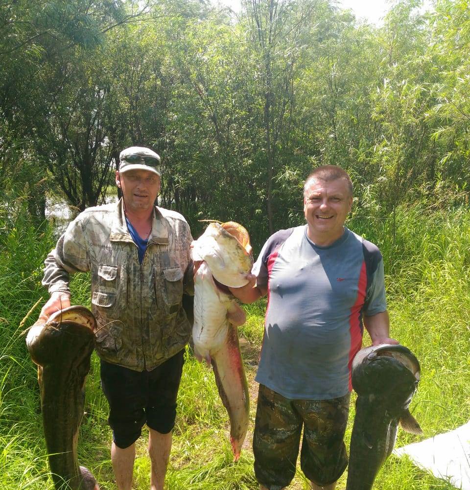 IMG-20190710-WA0001.jpg