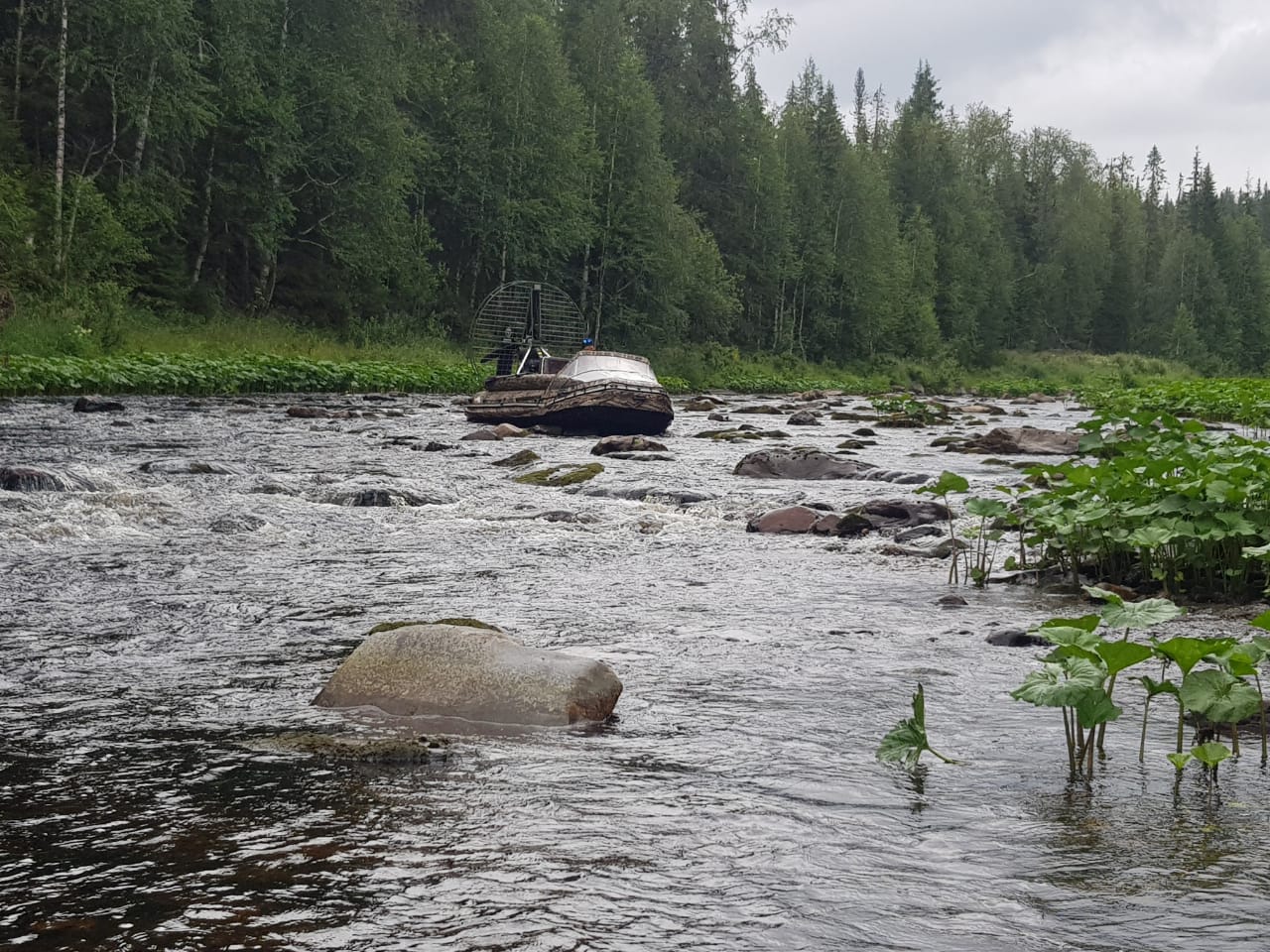 IMG-20190729-WA0048[1].jpg