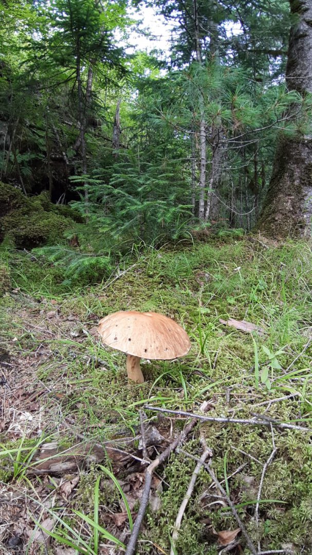 IMG-20190808-WA0040.jpg