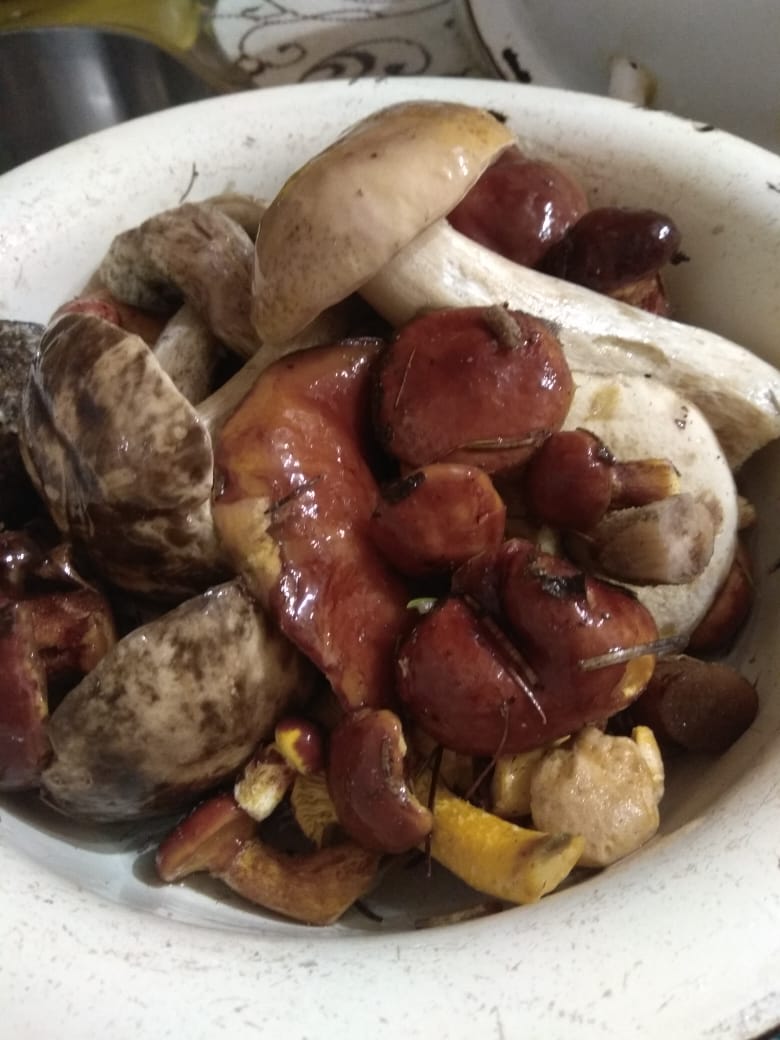 IMG-20190818-WA0007.jpg