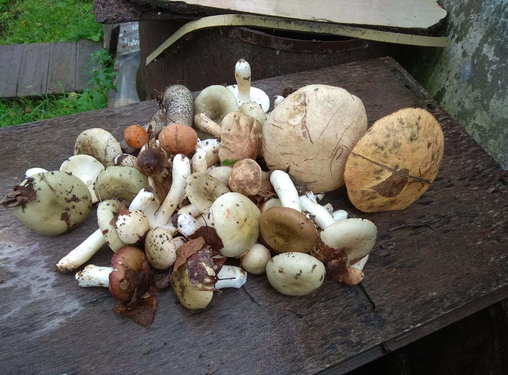 IMG-20190818-WA0008.jpg
