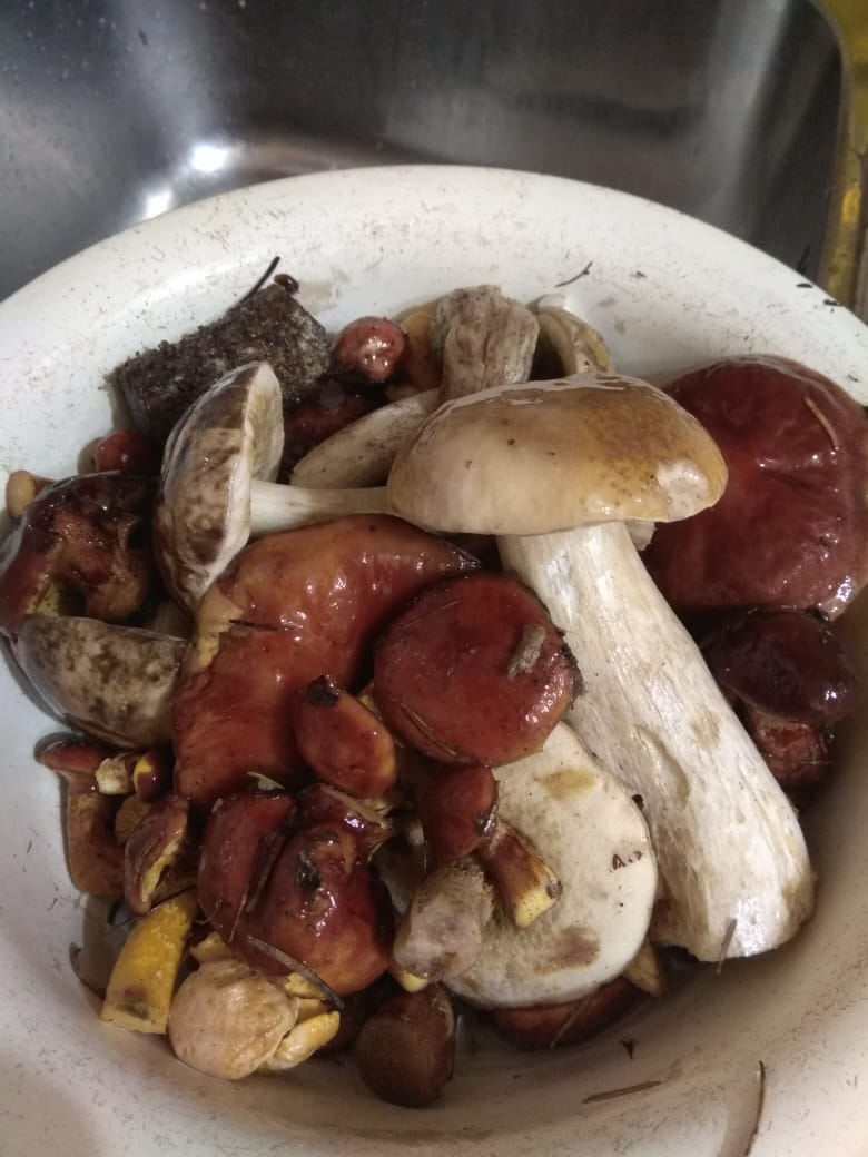 IMG-20190818-WA0009.jpg