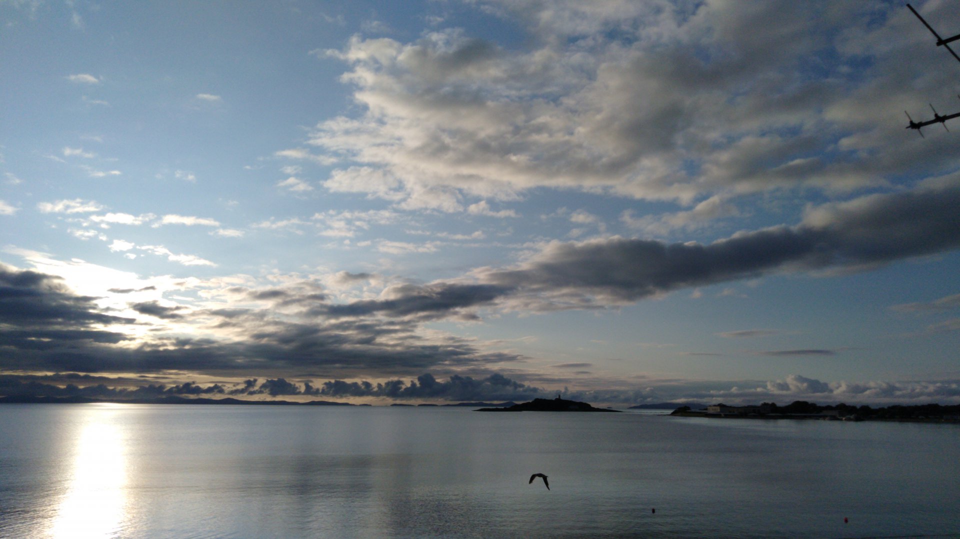 IMG-20190825-WA0008.jpeg