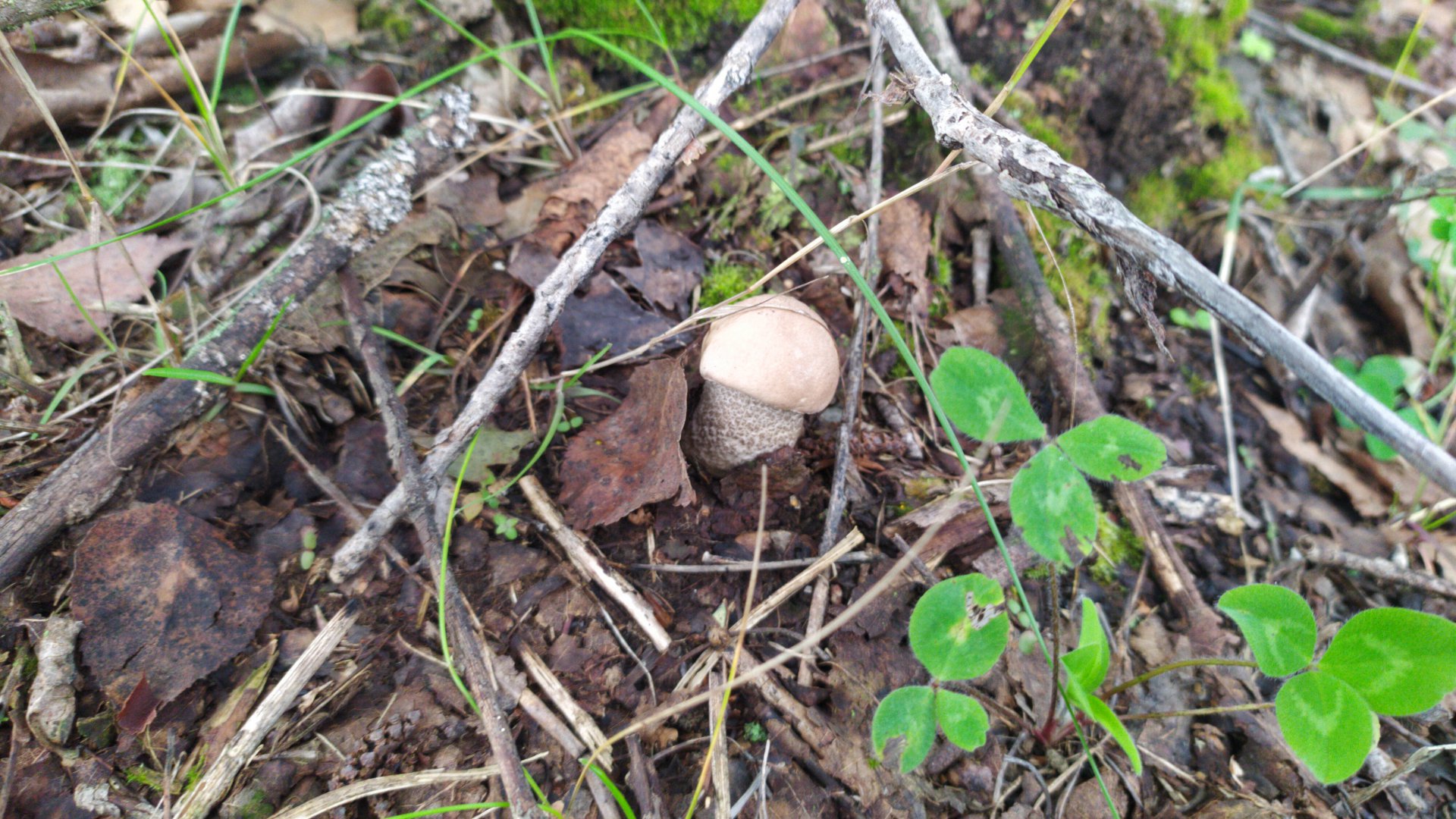 IMG-20190825-WA0015.jpeg