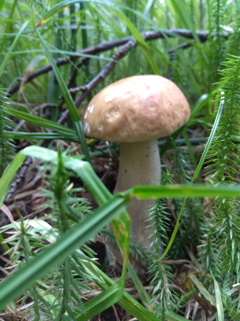 IMG-20190829-WA0004.jpg