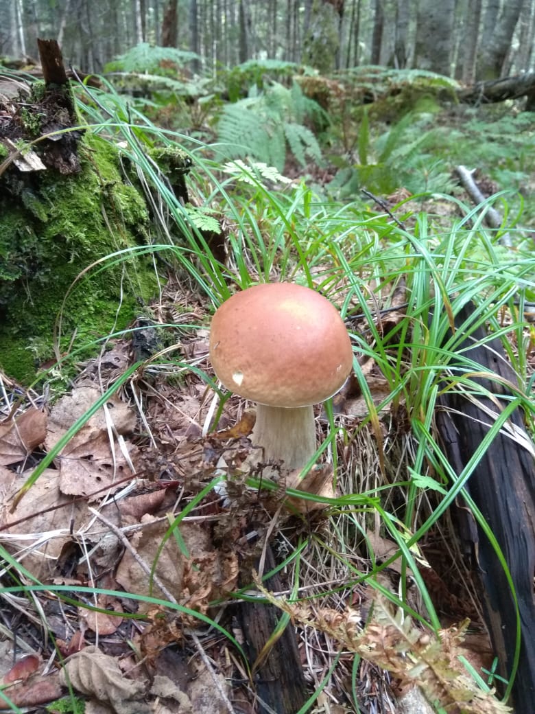 IMG-20190829-WA0006.jpg