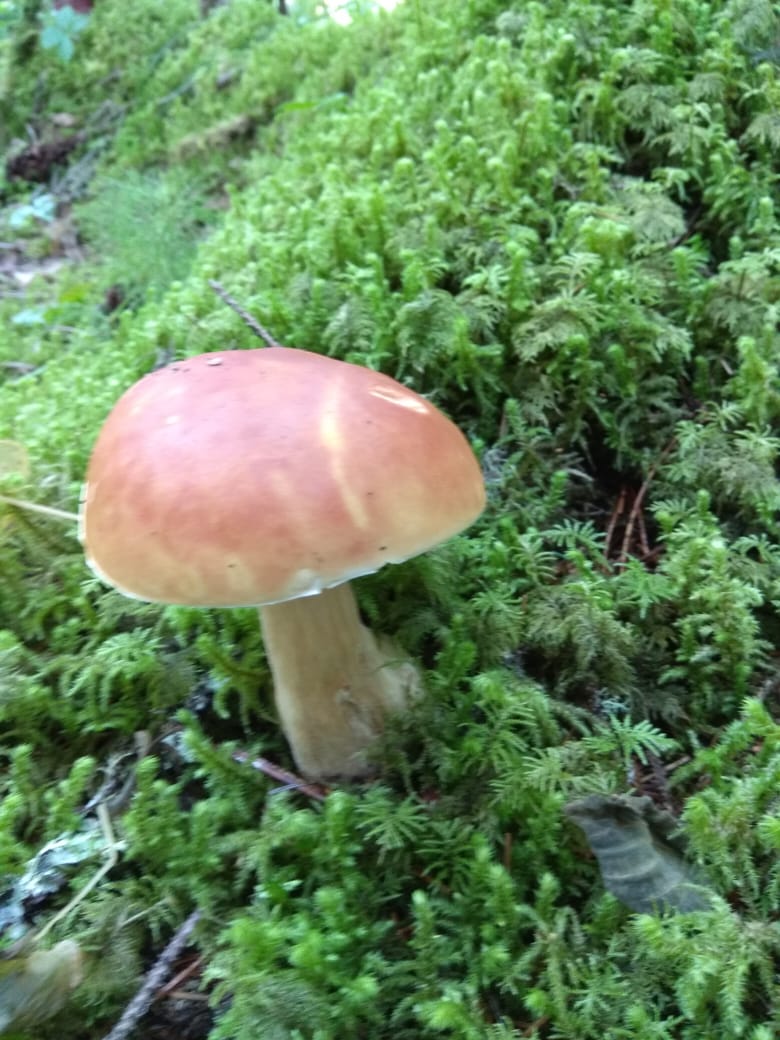 IMG-20190829-WA0010.jpg