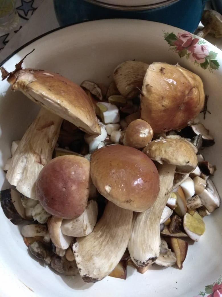 IMG-20190829-WA0011.jpg