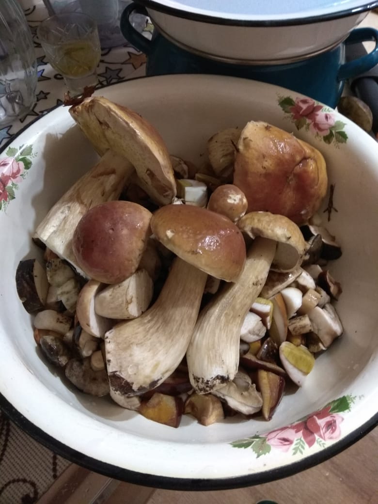 IMG-20190829-WA0012.jpg