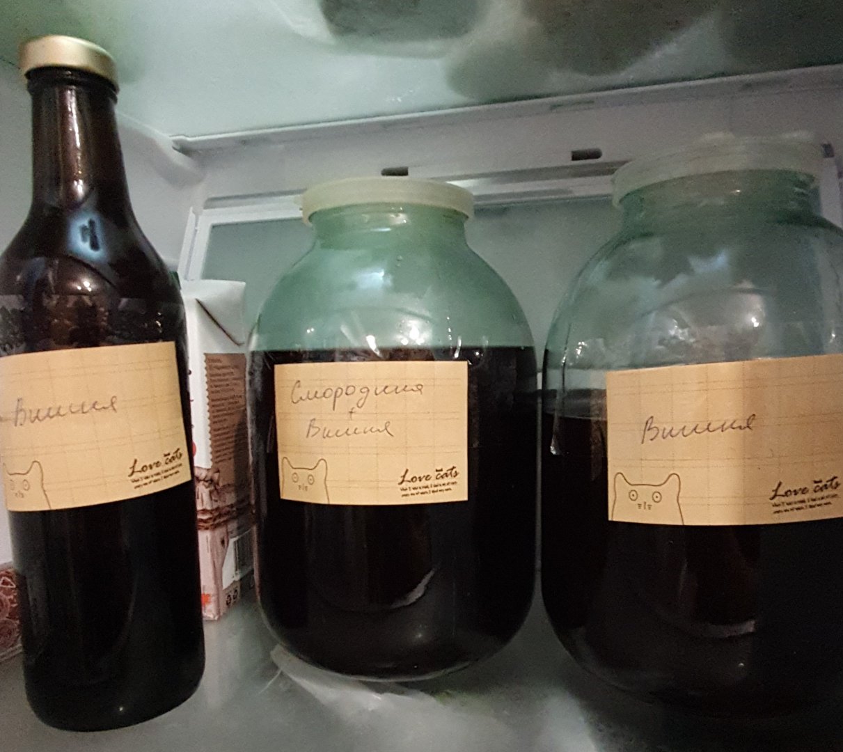 IMG-20190829-WA0014.jpeg