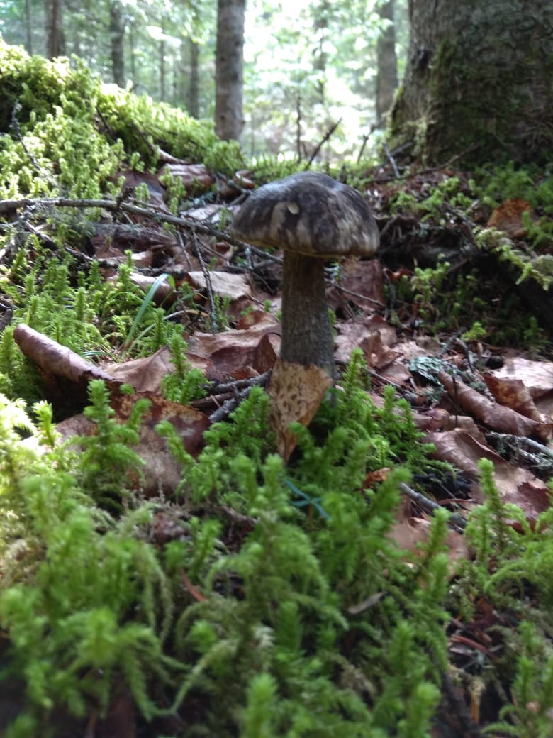IMG-20190829-WA0017.jpg