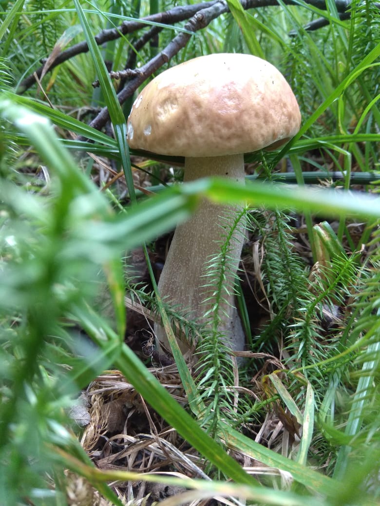 IMG-20190829-WA0022.jpg
